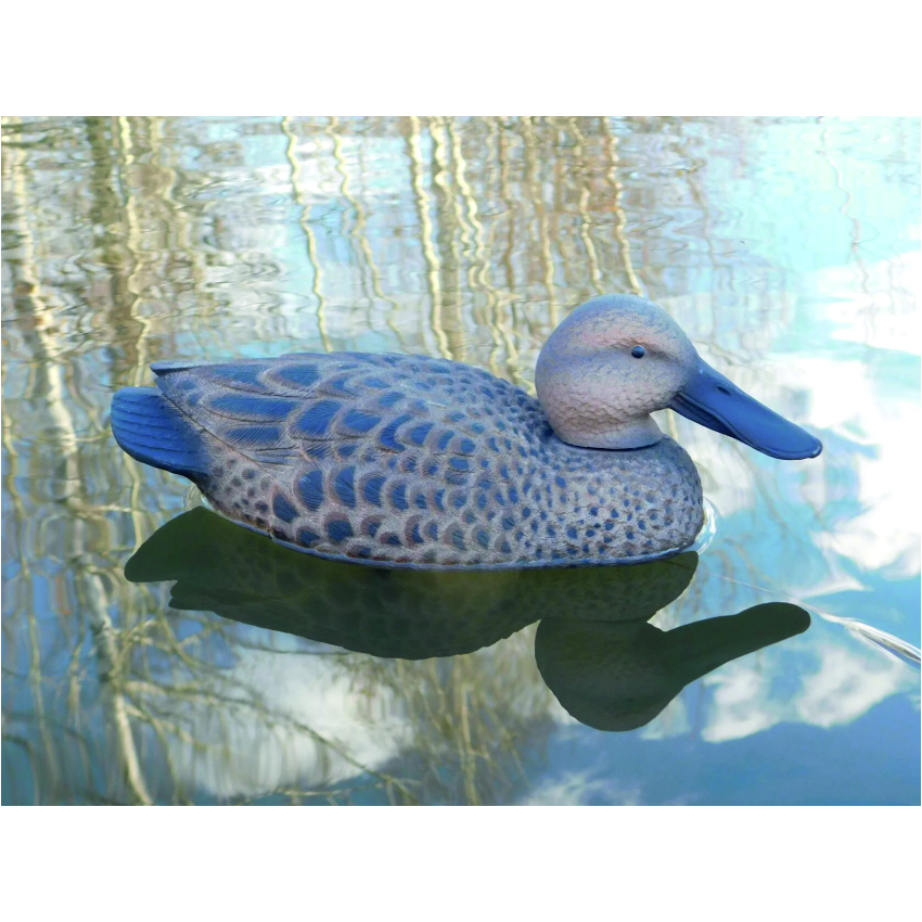 Чучело утки "Широконоска утка" (рельеф)  дл. 33см