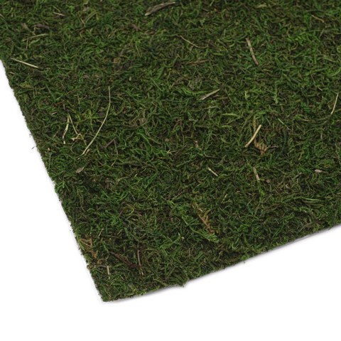 Мох натуральный обработанный листовой 45*325см BH201ALB-45