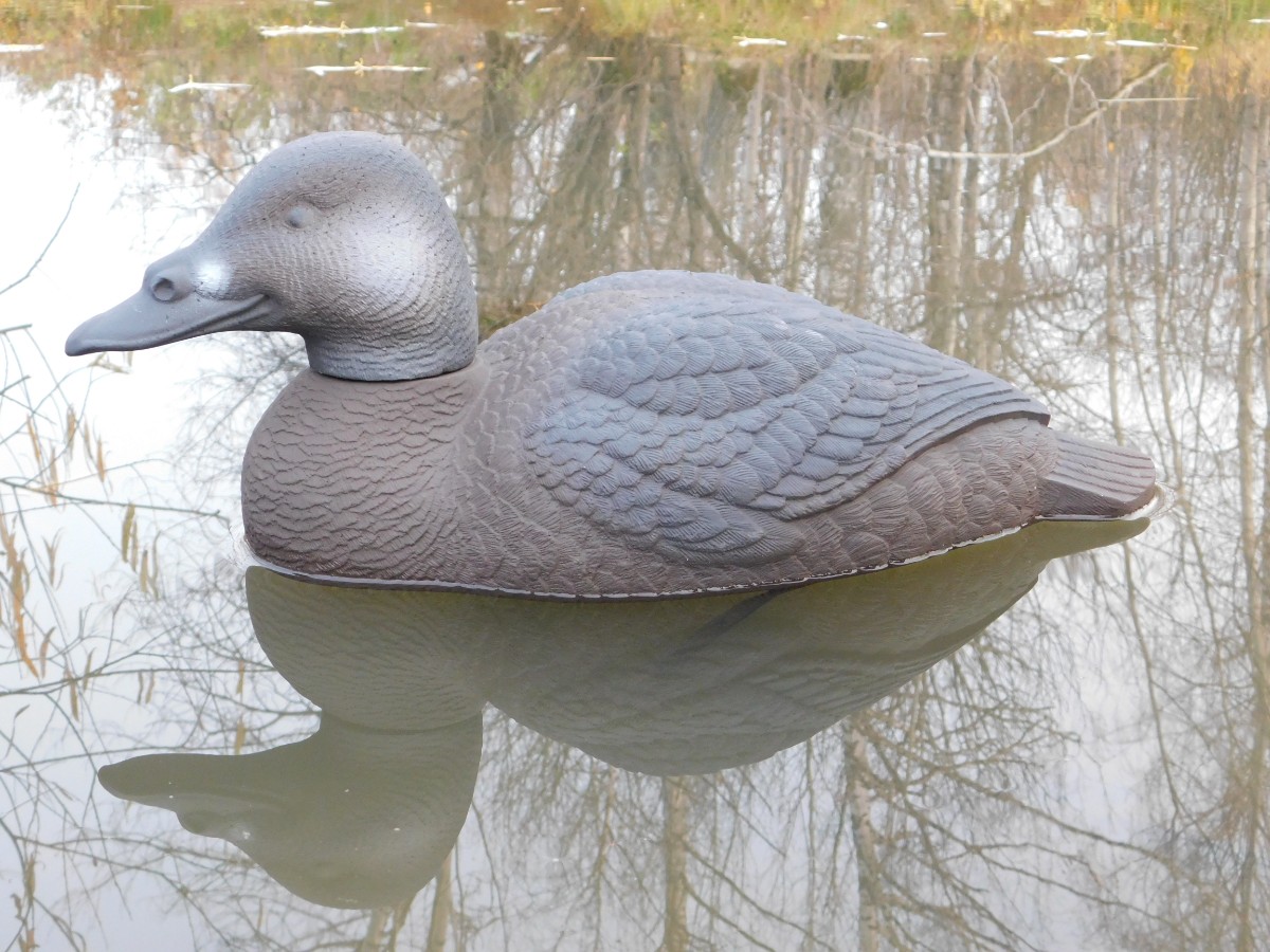 Чучело утки "Турпан горбоносый утка МАГНУМ" (рельеф) дл. 52 см