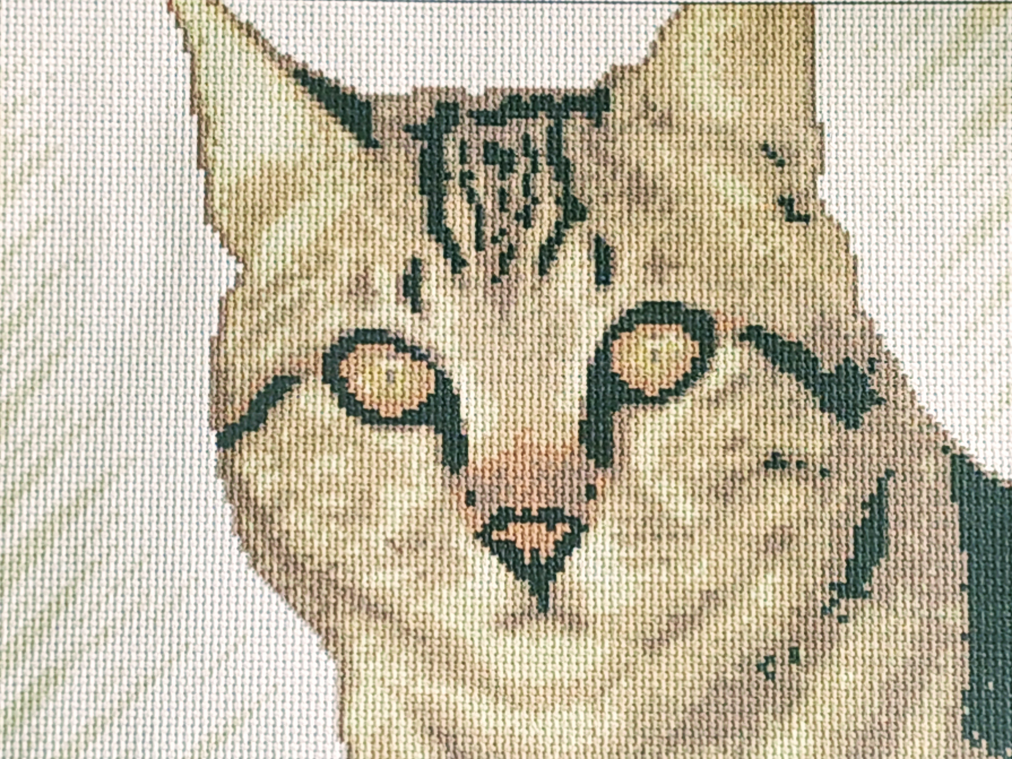 Рисунок на канве "Искусница" 800 "Кот" 25х30 см