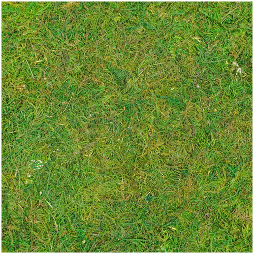 Мох листовой 45*40*0.5см BH181AL