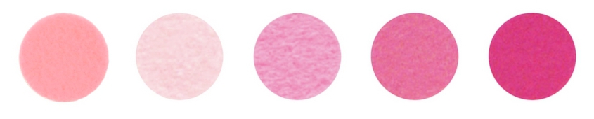 Набор декоративного  фетра FSR1.2 (N5)-04 1,2мм; 22см х 30см (5 листов, 5 цветов)