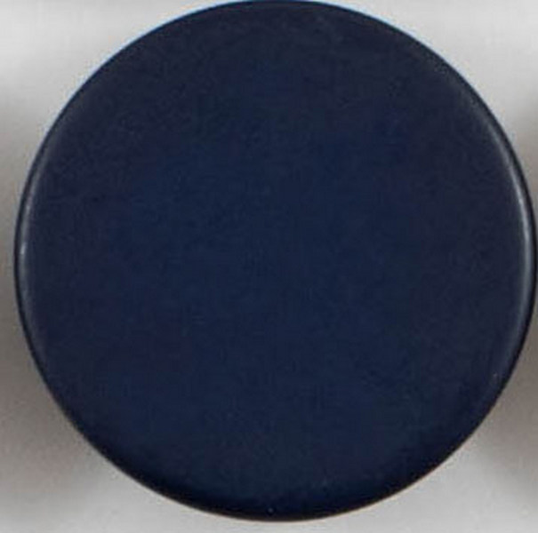 Пуговицы  "Колибри" NE189 Blue ( синий ) 24L