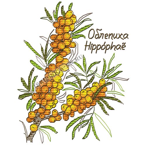 Набор для вышивания крестом «Искусница» 5018 Гербарий. Облепиха (набор для вышивания крестом)