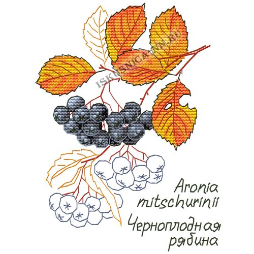 Набор для вышивания крестом «Искусница» 5016 Гербарий. Черн. рябина (набор для вышивания крестом)