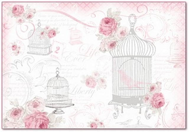 Бумага рисовая для декупажа Stamperia DFS296 "LA VIE EN ROSE CAGES" 1 лист, 48*33 см 