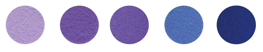 Набор декоративного  фетра FSR1.2 (N5)-09 1,2мм; 22см х 30см (5 листов, 5 цветов)