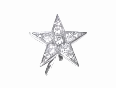 Украшение Микрон Звезда GB1127. набор 2 шт. 27х27 мм никель