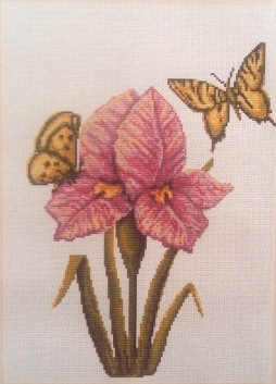 B224 набор д/вышивания "Лука-С" канва 5,5 кл. в 1с