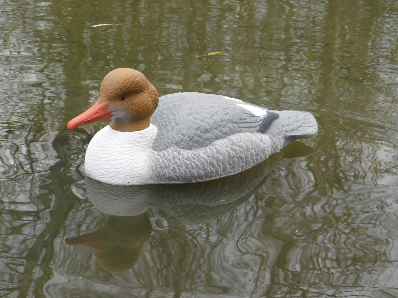 Чучело утки "Крохаль утка" (рельеф) дл.47см