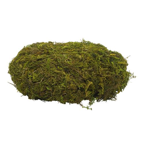 Мох натуральный обработанный 20гр.,  7730276  XY17-613
