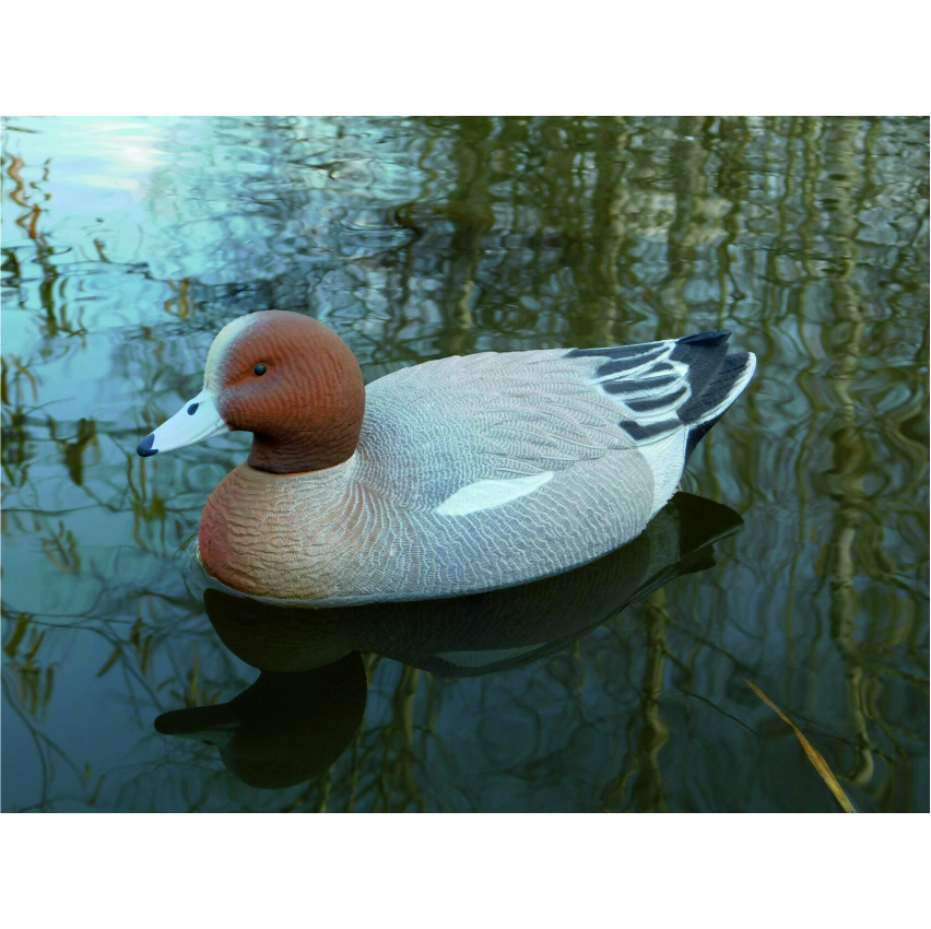 Чучело утки "Свиязь селезень" (рельеф) дл. 28 см