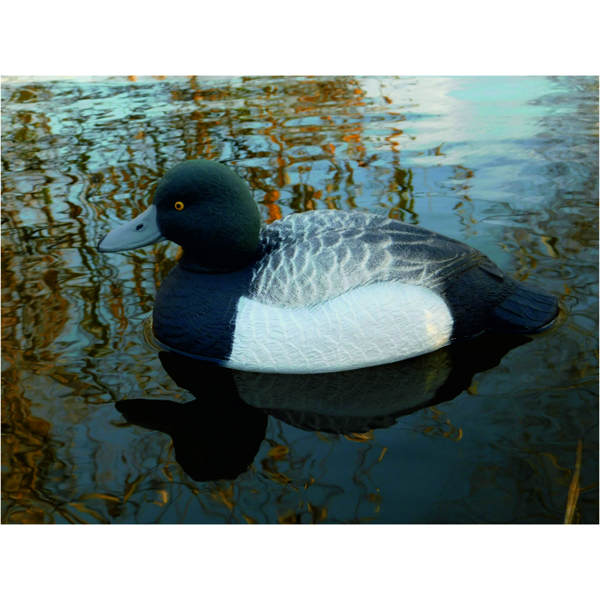 Чучело утки "Морская чернеть селезень" (рельеф) дл. 29 см