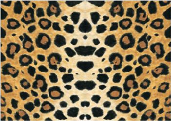 Бумага SOFT FOGLI 124/90716, 50*70 см