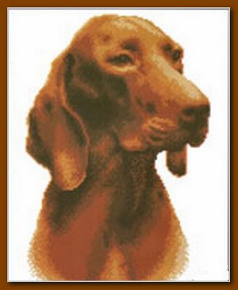 Набор для вышивания крестом «Искусница» 646 Курцхаар