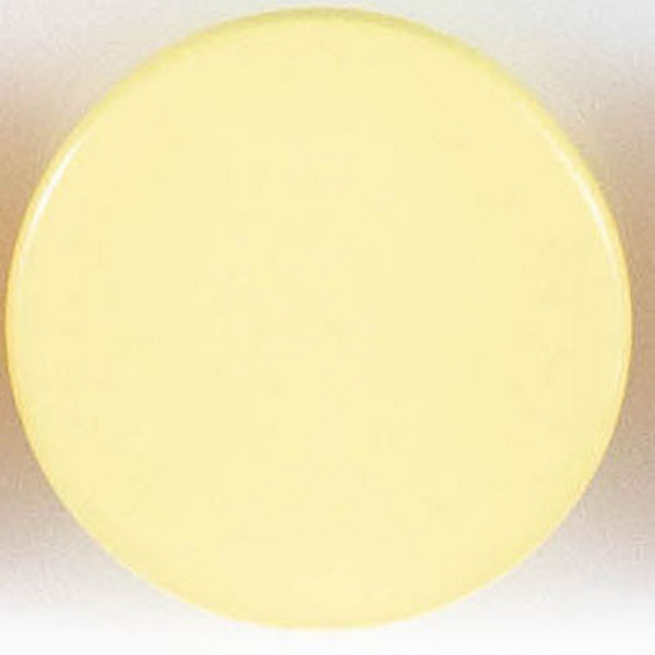 Пуговицы  "Колибри" PS21 Yellow ( желтый ) 24L