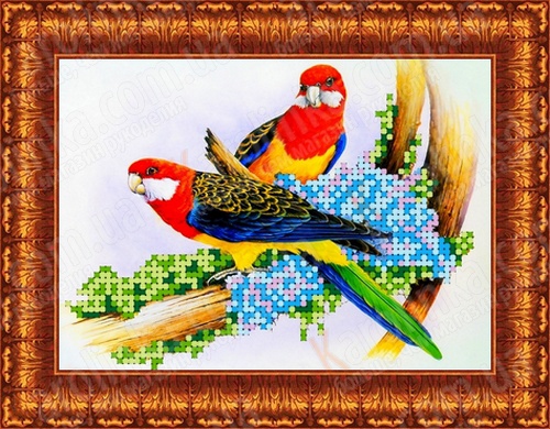 Рисунок-схема на ткани «Каролинка» КБЖ 5003 Попугаи