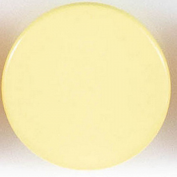 Пуговицы  "Колибри" PS21 Yellow ( желтый ) 24L
