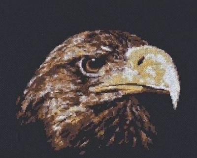 Набор для вышивания "Палитра" 02.003 ВЗГЛЯД ОРЛА,размер: 26х22см