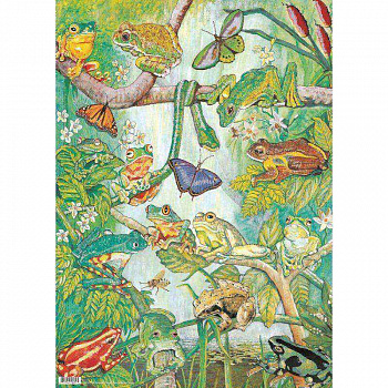 A4-402 Frogs/Лягушки