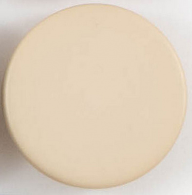 Пуговицы  "Колибри" NE189 Beige ( бежевый ) 24L