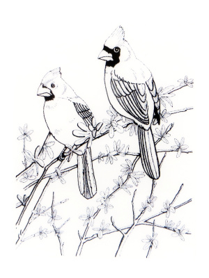 Резиновый штамп «Cardinals», 8,2x10,8см