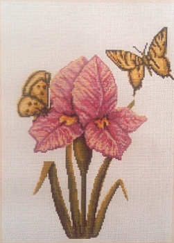 B224 набор д/вышивания "Лука-С" канва 5,5 кл. в 1с