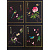 A4-921 Japonica A4-921 Japonica