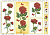 Бумага SOFT PRECIOUS 244/99407, 50*70 см Бумага SOFT PRECIOUS 244/99407, 50*70 см