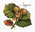 Набор для вышивания «М.П.Студия» НВ-912 "Дары природы. Лещина" 13 х13 см.