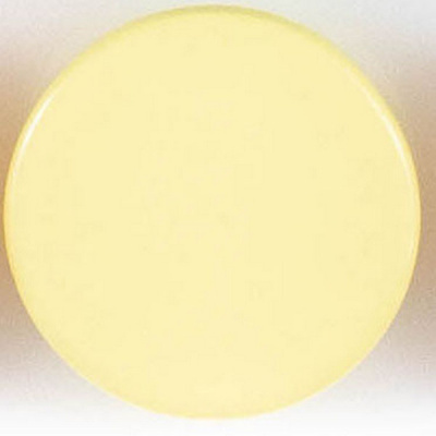 Пуговицы  "Колибри" PS21 Yellow ( желтый ) 24L